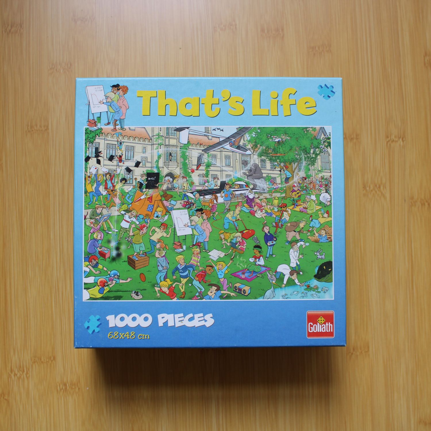 Puzzel 1000 stukjes - Universiteit