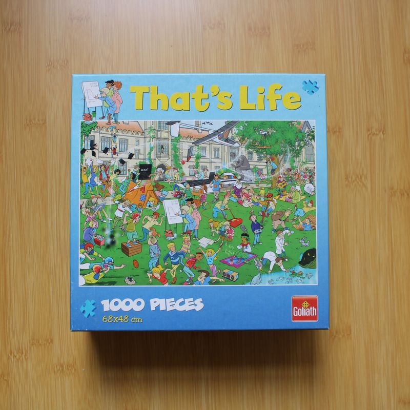 Puzzel 1000 stukjes - Universiteit