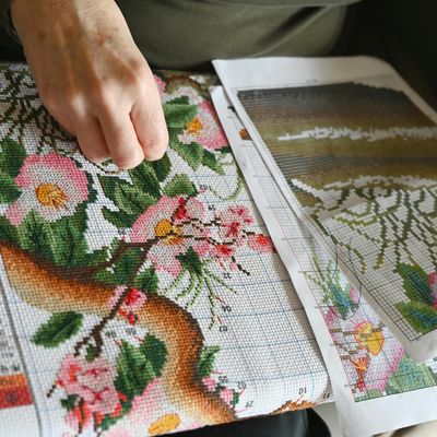 Patronen &amp; tijdschriften