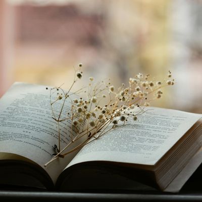 Hobby boeken