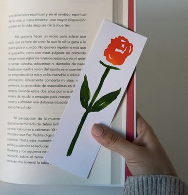 Boeken accessoires