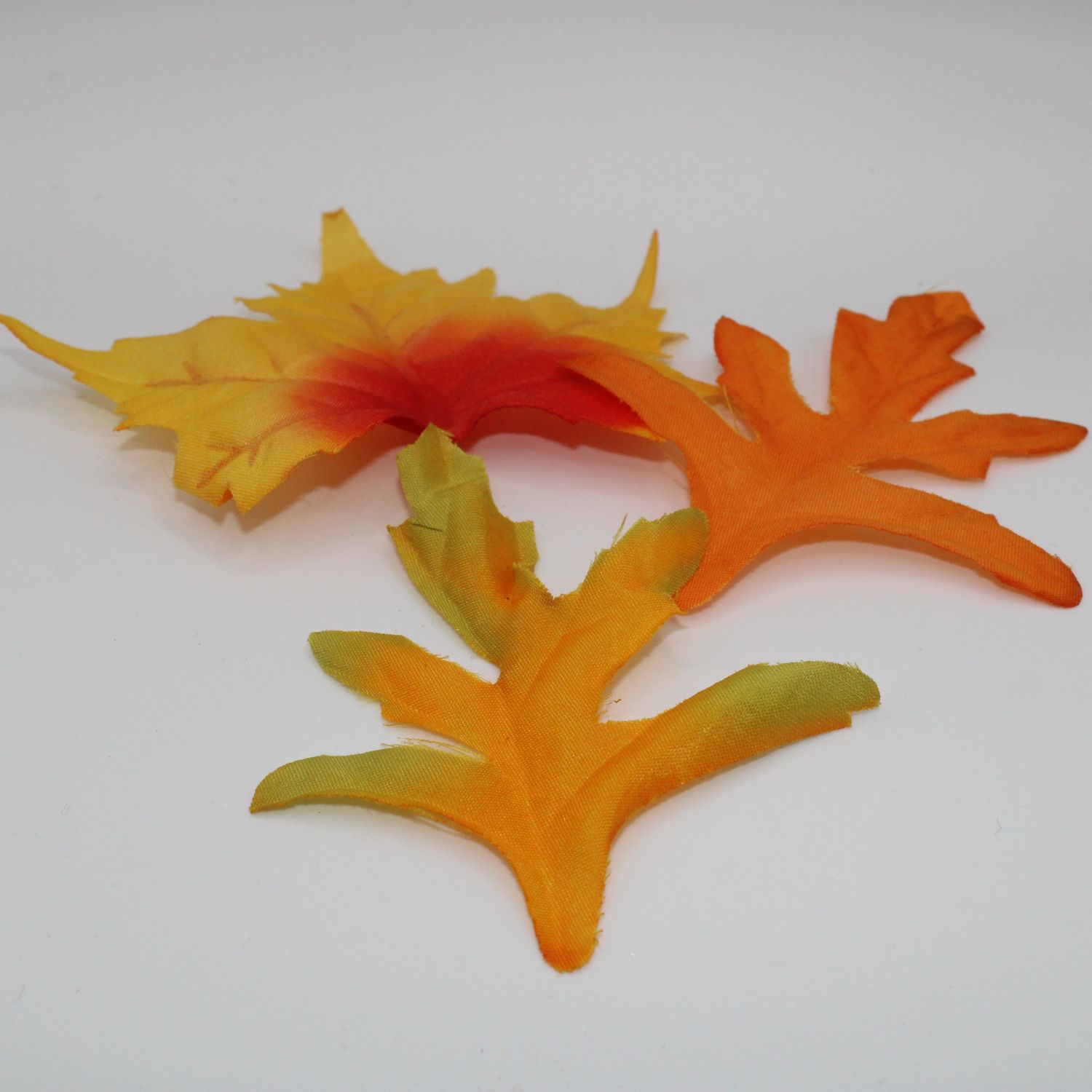 Herfstblaadjes in verschillende kleuren