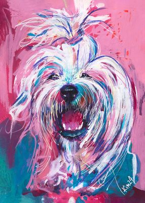 Pet Portrait