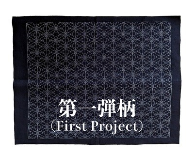 Indigo Fabric with Traditional Patterns (23)