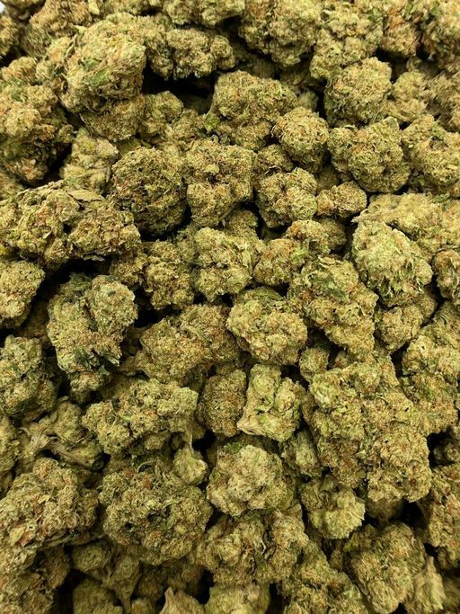 PAPAYA PUNCH 🥊