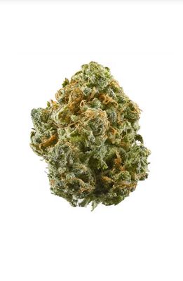 BLUE DREAM 🛌
