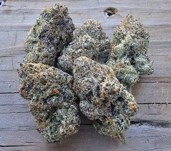 BLUE NERDZ