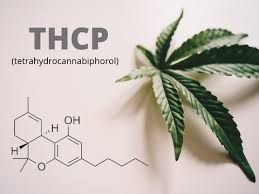 THCp