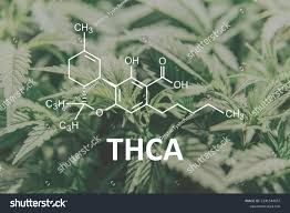 THCa