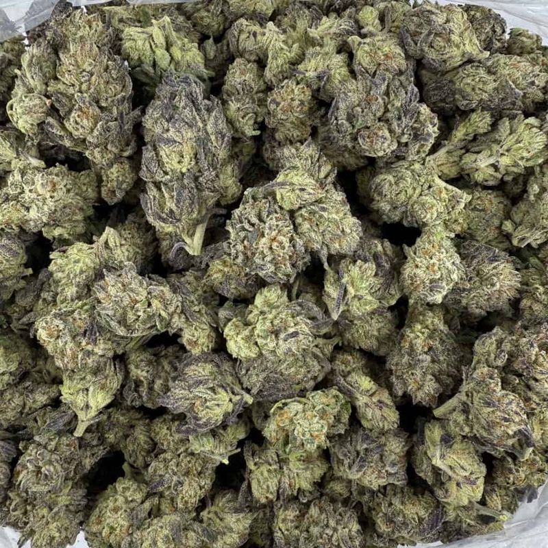 Gush Mintz THCa Flower