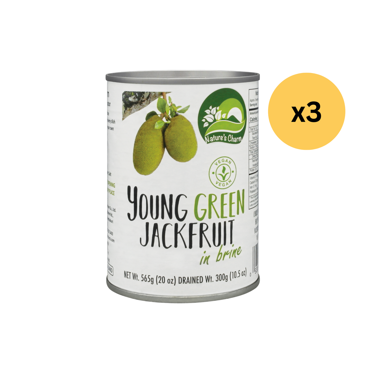 大樹菠蘿（鹽水） - 3 罐 Young Green Jackfruit in brine (3 cans)新舊包裝隨機發貨［此日期前最佳：2025年10月21日］