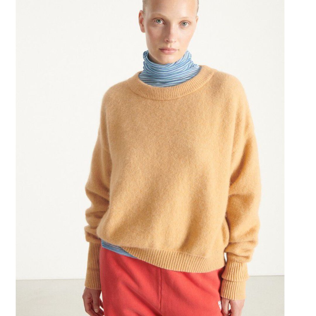 American Vintage hazelnoot Vitow dames trui, Maat: XS/S