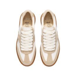 East Pacific trade Santos Beige White
