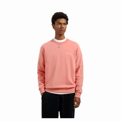 Olaf Burnt Coral Brushstroke Face Crewneck