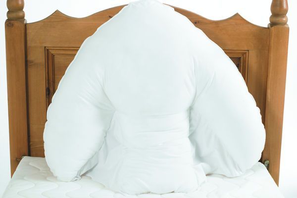 Batwing Pillow