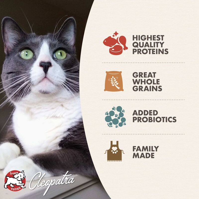 FROMM CAT 4# GOLD MATURE/HEALTHY WEIGHT