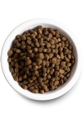 OPEN FARM DOG 11# ANCIENT GRAINS TURKEY DISCONTINUED