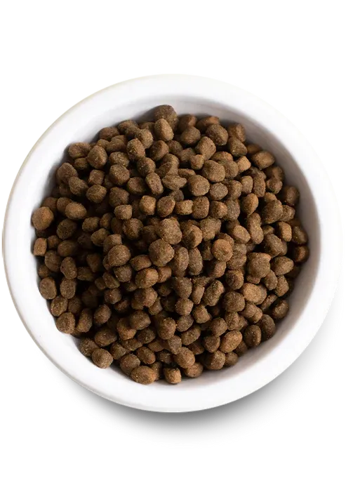 OPEN FARM DOG 22# ANCIENT GRAINS BEEF
