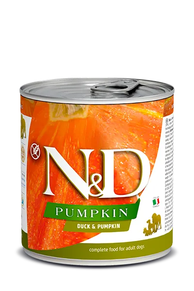 N&amp;D 10.05OZ PUMPKIN DUCK