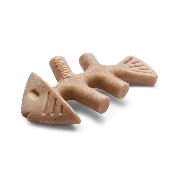 BENEBONE PUPPY 2 PACK JACK SALMON