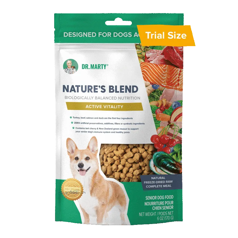 DR. MARTY DOG 16OZ ACTIVE VITALITY SENIOR