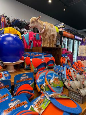 TOYS