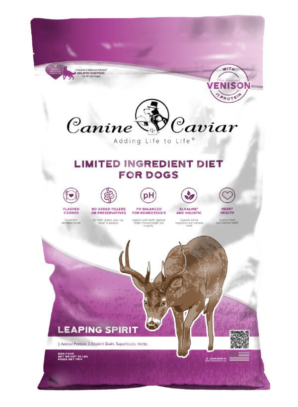CANINE CAVIAR DOG #22 LEAPING SPIRIT