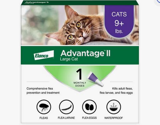 ADVANTAGE II CAT LG 9# PURPLE 1PK