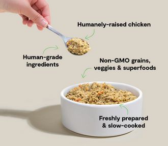 OPEN FARM DOG 16OZ CHICKEN GENTLY COOKED SINGLE