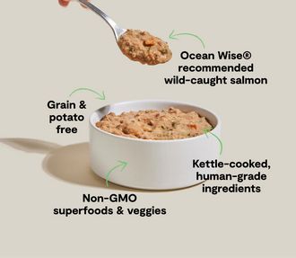 OPEN FARM 12.5OZ STEW WILD SALMON