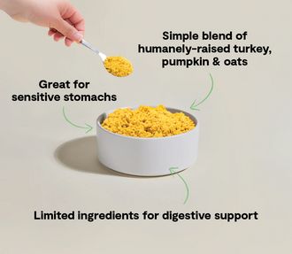 OPEN FARM DOG 16OZ GENTLY COOKED TUMMY
