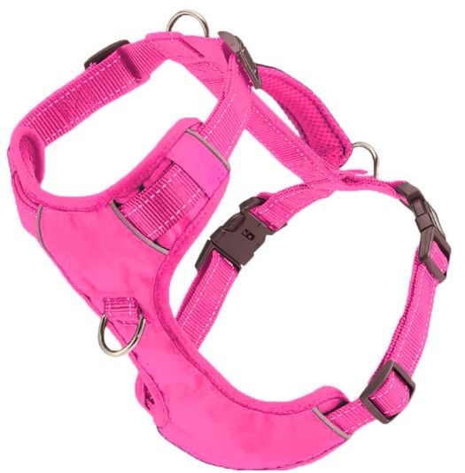 BAYDOG CHESAPEAKE PINK XLARGE