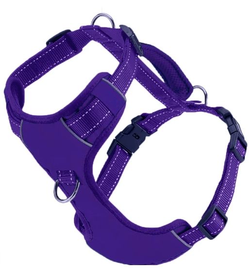 BAYDOG CHESAPEAKE HARNESS PURPLE SMALL