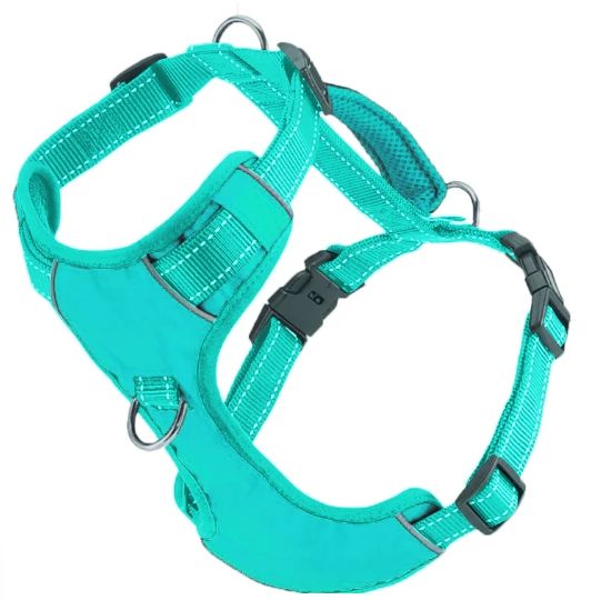 BAYDOG CHESAPEAKE HARNESS SEAFOAM MEDIUM