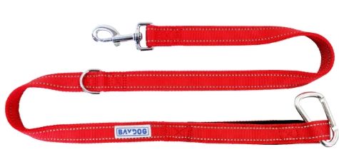 BAYDOG HUDSON LEASH 6&#39; RED