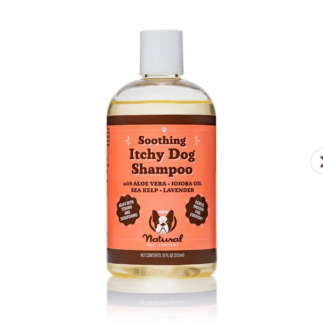 NATURAL DOG COMPANY - ITCHY DOG SHAMPOO 12OZ