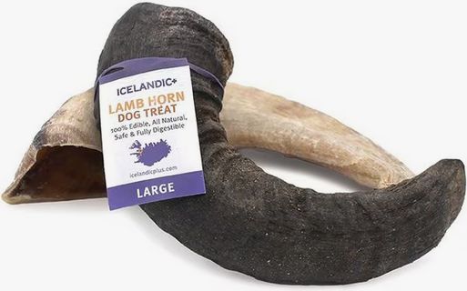 ICELANDIC LAMB HORN - LARGE