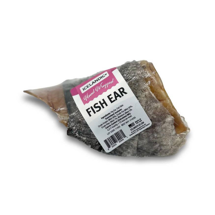 ICELANDIC FISH EAR