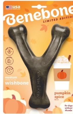 BENEBNE PUMPKIN SPICE WISHBNE MED
