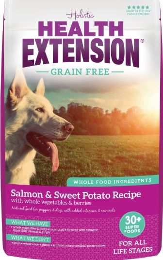 HEALTH EXTENSION DOG - SALMON &amp; VEGGIES 23.5LB