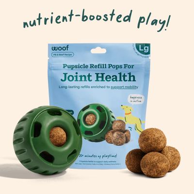 WOOF WELLNESS JOINT LARGE
