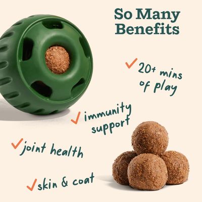 WOOF WELLNESS POPS 8OZ LARGE