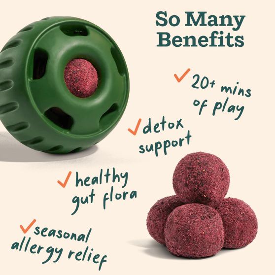 WOOF WELLNESS ALLERGY REFILL LG