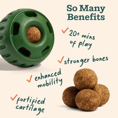 WOOF WELLNESS POPS XL JOINT