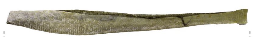 ICELANDIC COD SKIN- LONG