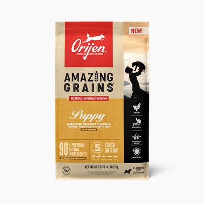 ORIJEN DOG 22.5# GRAIN PUPPY