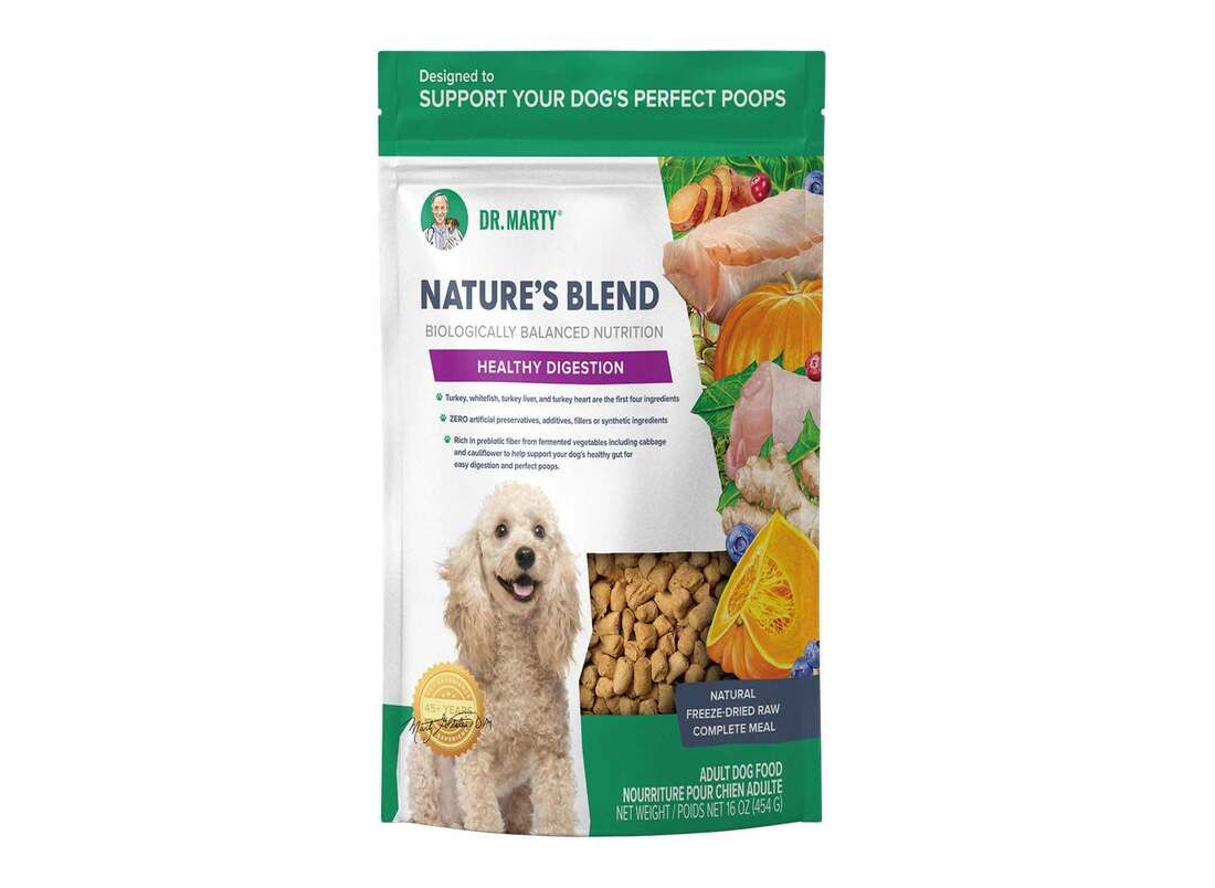 DR MARTY DOG 16OZ HEALTHY DIGESTION