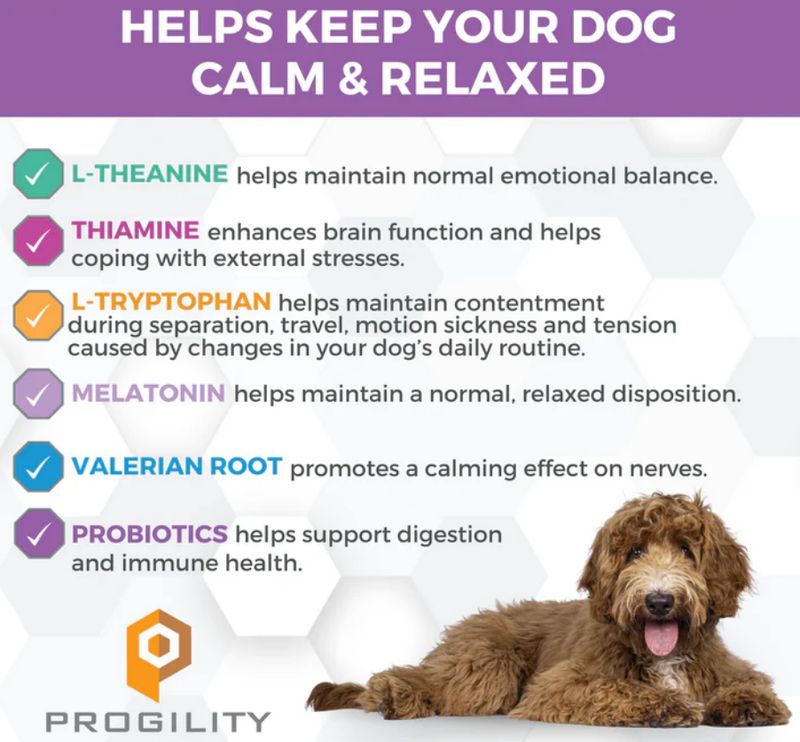 NOOTIE 90 CT PROGILITY CALMING AID W/ MELATONIN