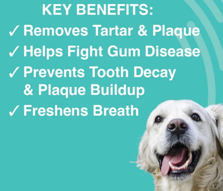 NOOTIE ANTIMICROBIAL DNTAL WIPES