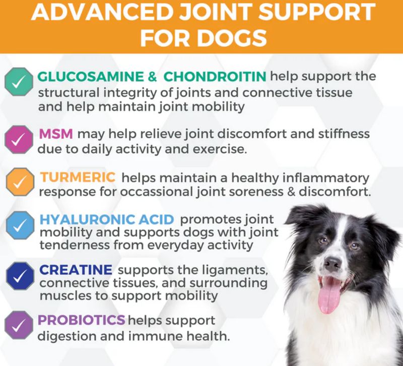 NOOTIE 90 CT PROGILITY HIP &amp; JOINT W/PROBIOTICS